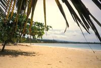 Beach of the Hotel CASA ROBINSON - Las Terrenas - Dominican Republic